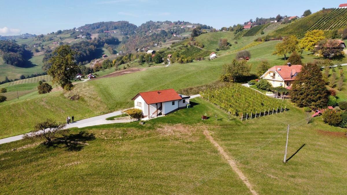 Holiday House Zlacka Gorca Pristava pri Mestinju Екстер'єр фото