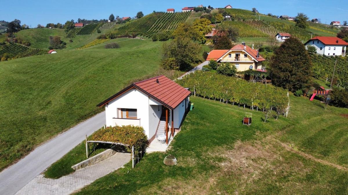 Holiday House Zlacka Gorca Pristava pri Mestinju Екстер'єр фото
