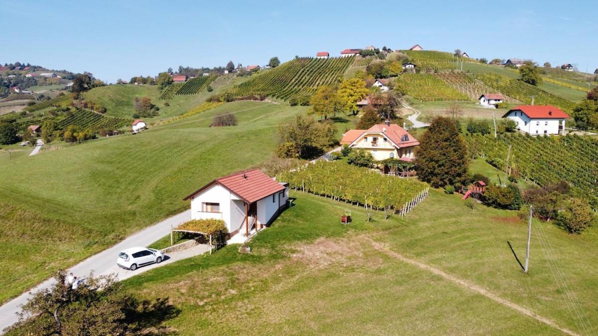 Holiday House Zlacka Gorca Pristava pri Mestinju Екстер'єр фото