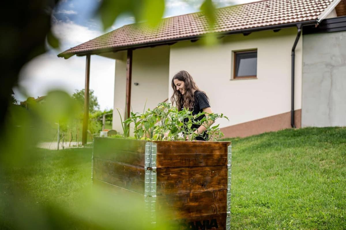 Holiday House Zlacka Gorca Pristava pri Mestinju Екстер'єр фото